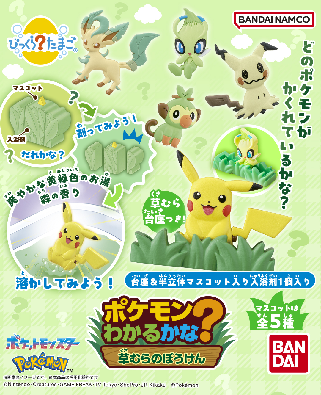 びっくらたまご ポケモンわかるかな 草むらのぼうけん