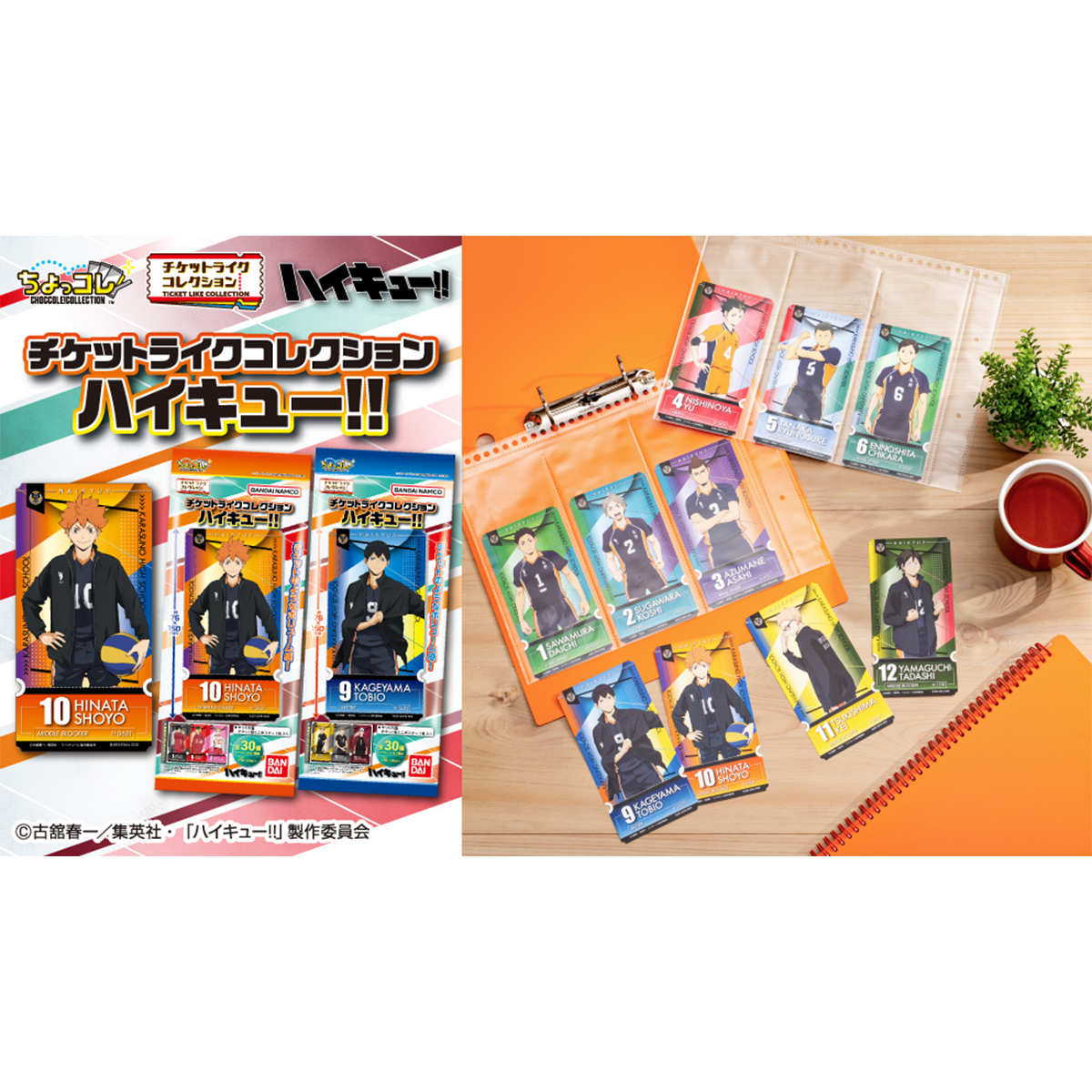 チケットライクコレクション ハイキュー!! Vol.1