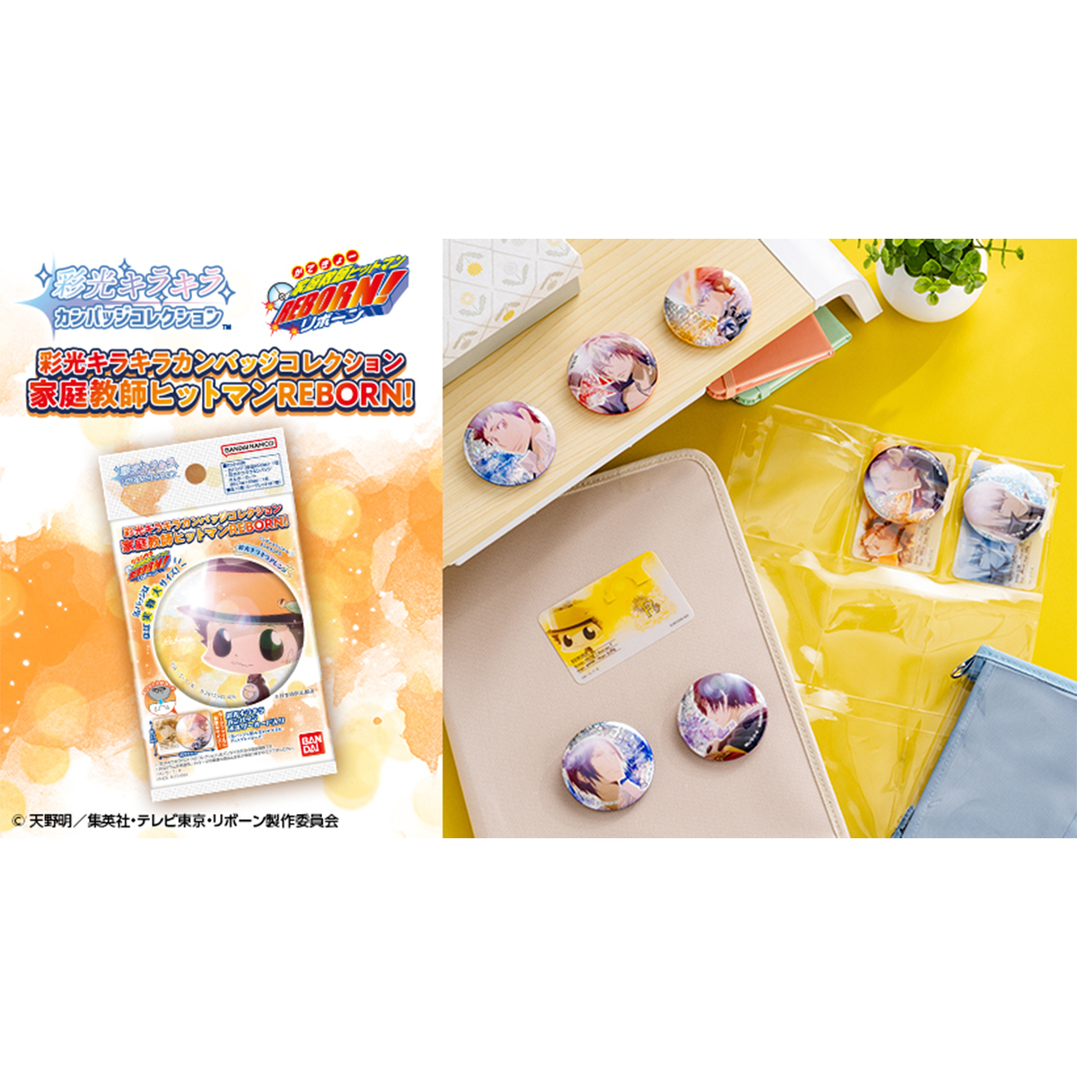 彩光キラキラカンバッジコレクション 家庭教師ヒットマンREBORN!